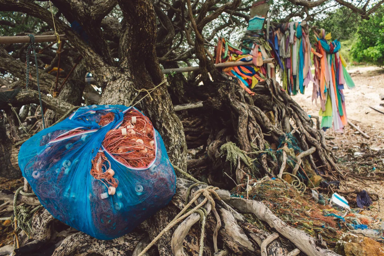 Fischernetze unter einem Baum am Strand